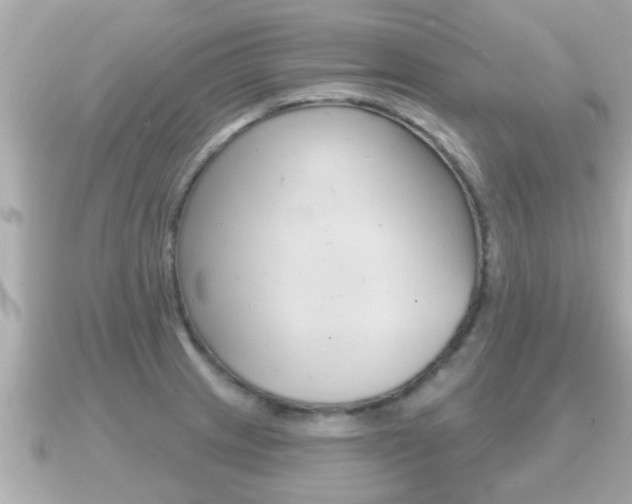 X0000091231233200708091107