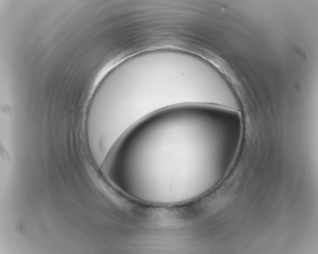 X0000091231234200708091107