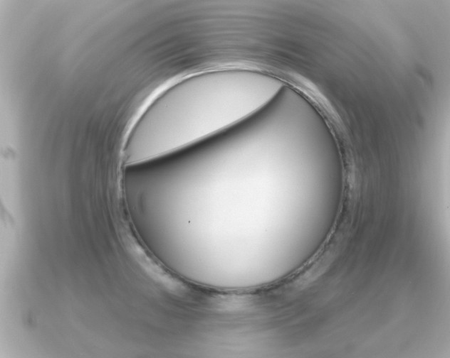 X0000091231236200708091108