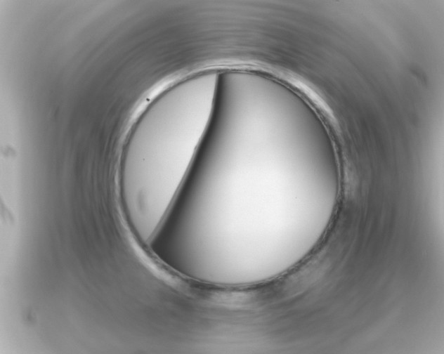X0000091231237200708091108
