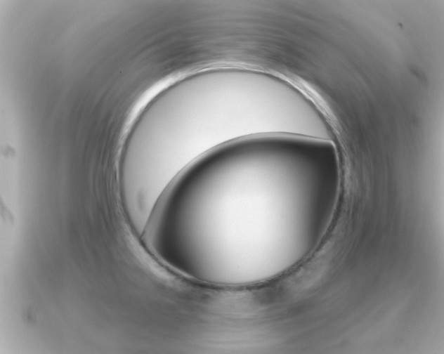 X0000091231238200708091108