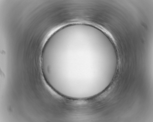 X0000091231239200708091108