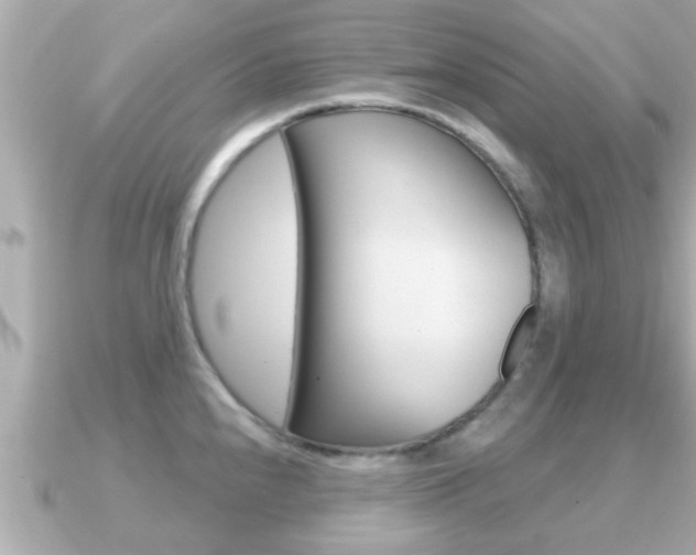 X0000091231240200708091108