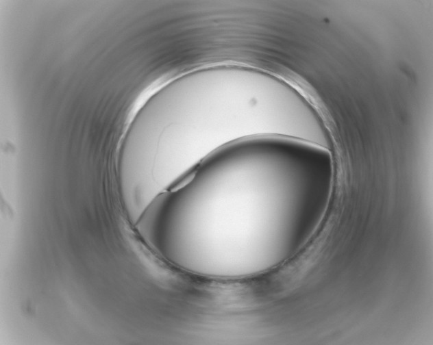 X0000091231242200708091108