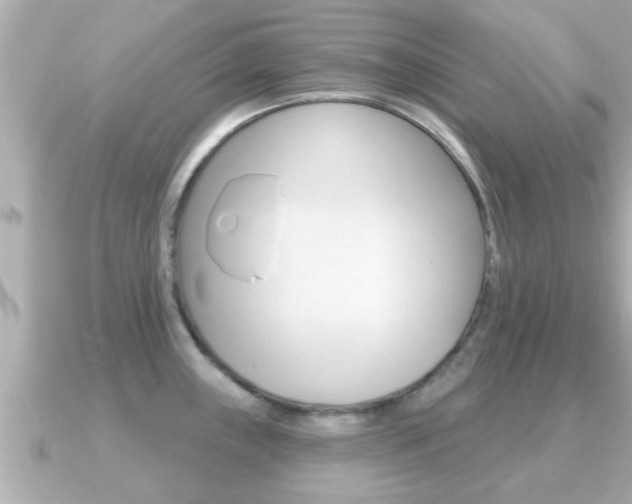 X0000091231243200708091108