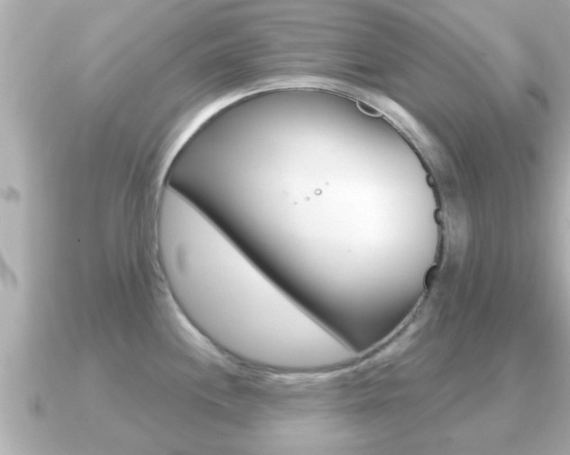 X0000091231244200708091108