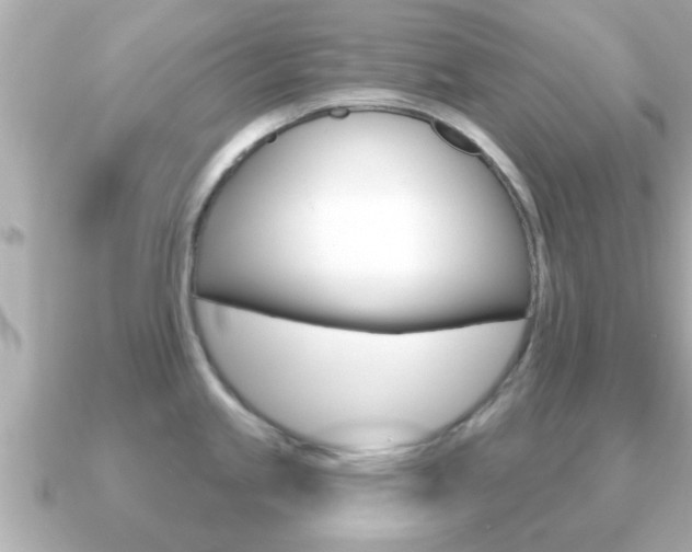 X0000091231245200708091108