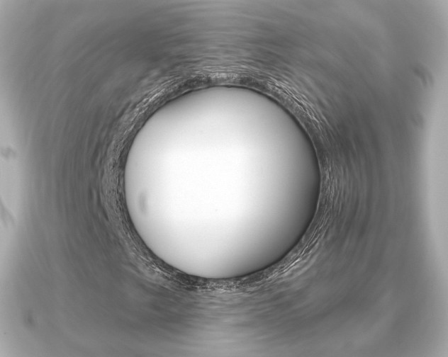 X0000091231249200708091107