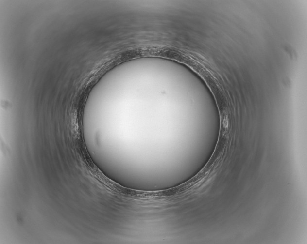 X0000091231252200708091107