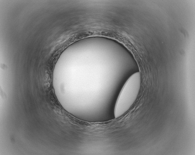X0000091231253200708091107