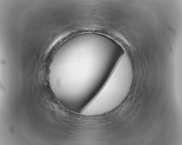 X0000091231256200708091107