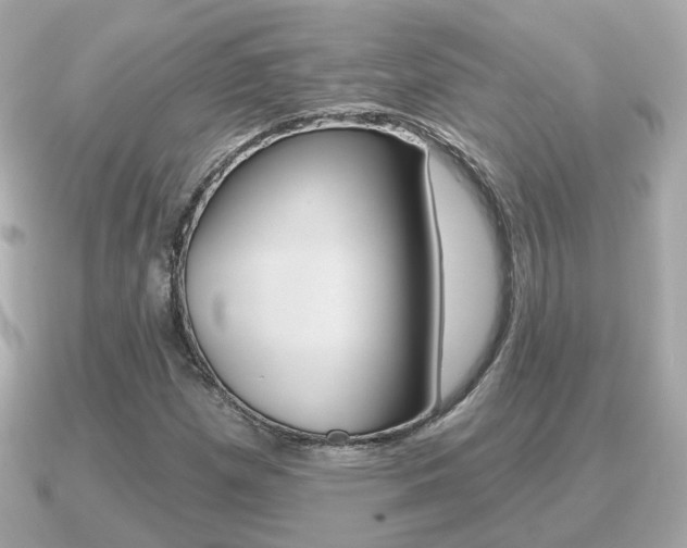 X0000091231257200708091107