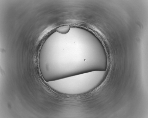 X0000091231259200708091107