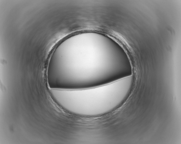 X0000091231260200708091107