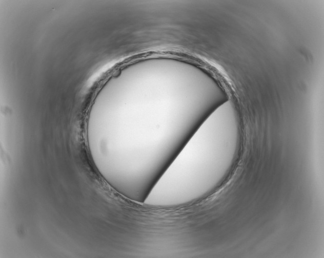 X0000091231263200708091107