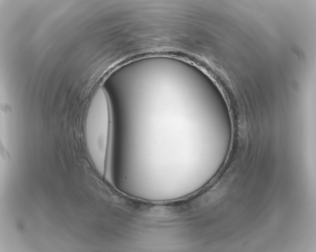 X0000091231265200708091107