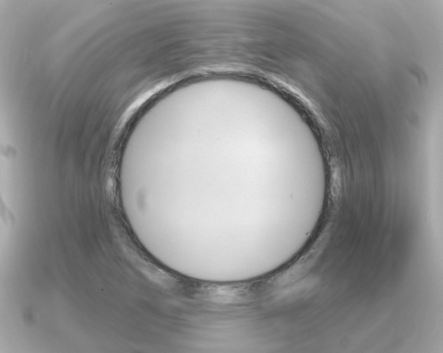 X0000091231266200708091107