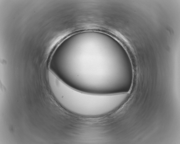 X0000091231269200708091107