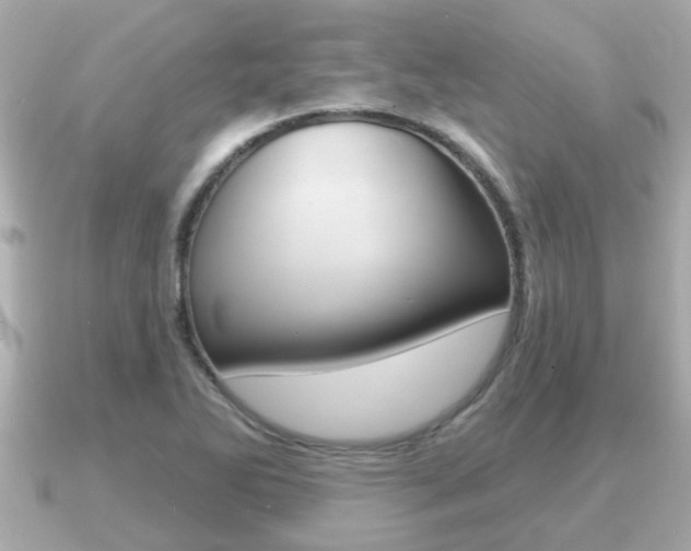 X0000091231270200708091107
