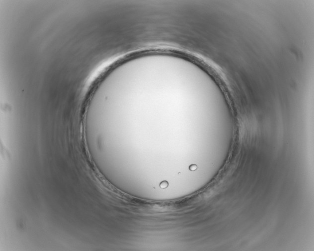 X0000091231271200708091107