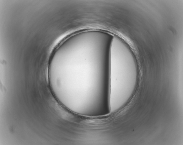 X0000091231272200708091107