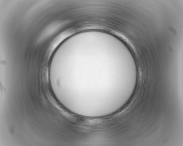 X0000091231274200708091107