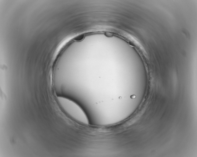 X0000091231275200708091107