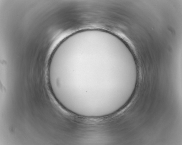 X0000091231278200708091107