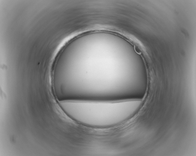 X0000091231280200708091107
