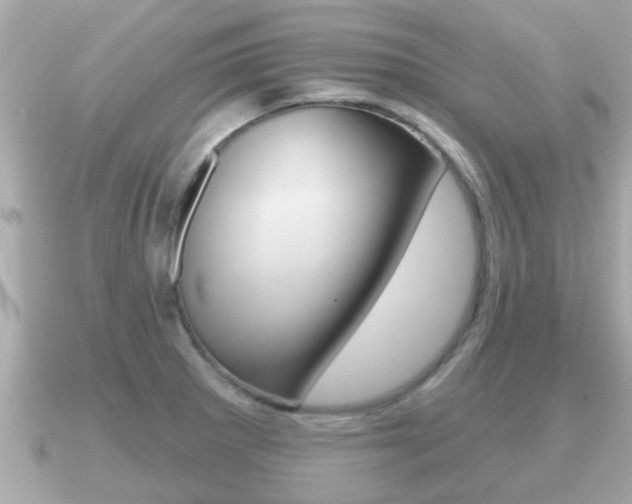 X0000091231281200708091107
