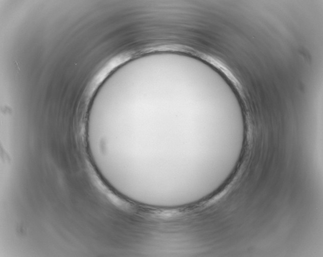 X0000091231282200708091107