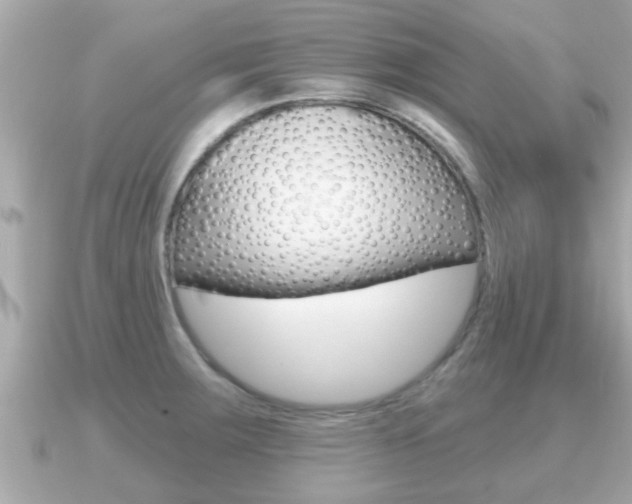 X0000091231283200708091107