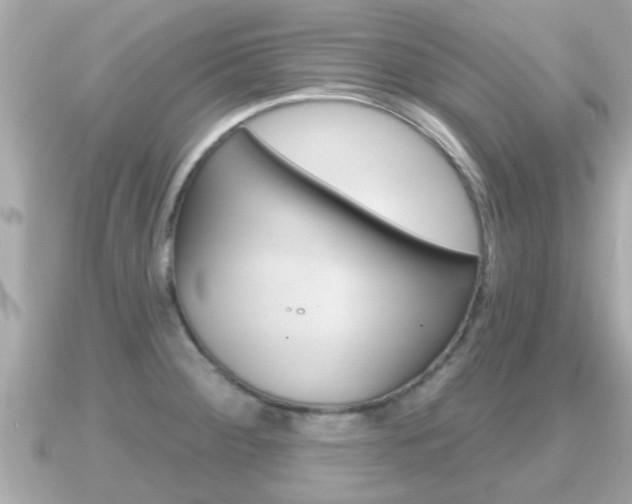 X0000091231284200708091107