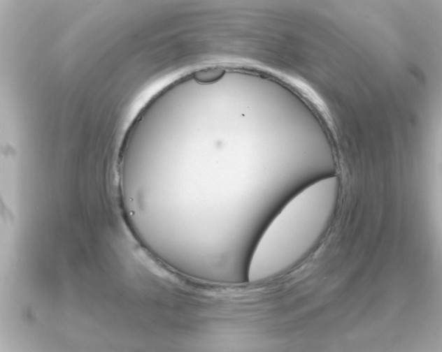 X0000091231287200708091107