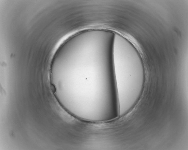X0000091231288200708091107