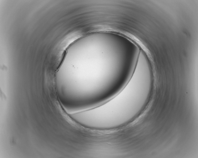 X0000091231289200708091107