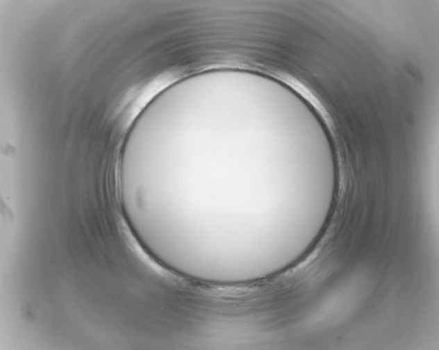 X0000091231290200708091107