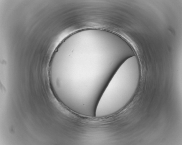 X0000091231291200708091107