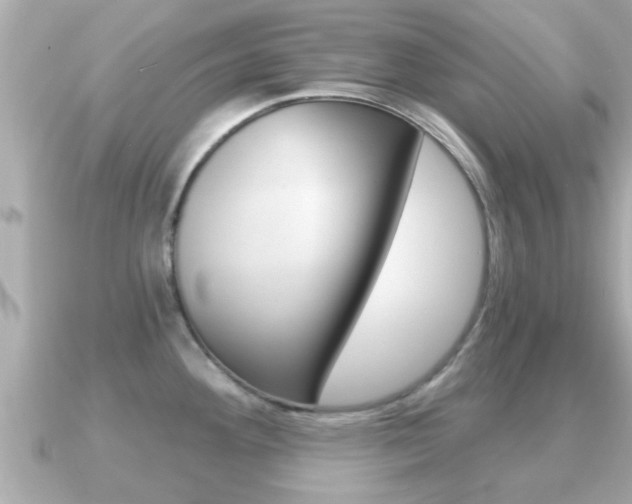 X0000091231292200708091107