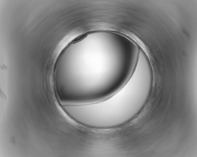 X0000091231293200708091107