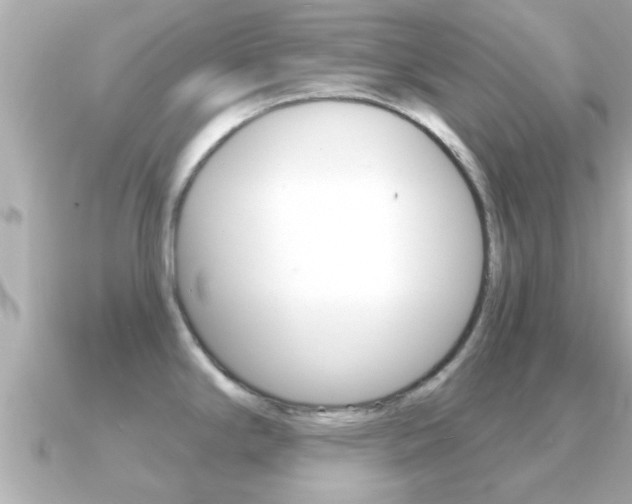 X0000091231294200708091107