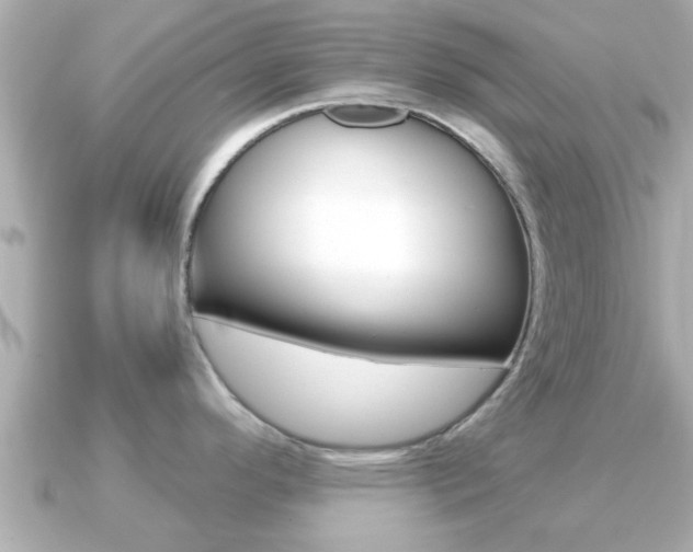 X0000091231296200708091107