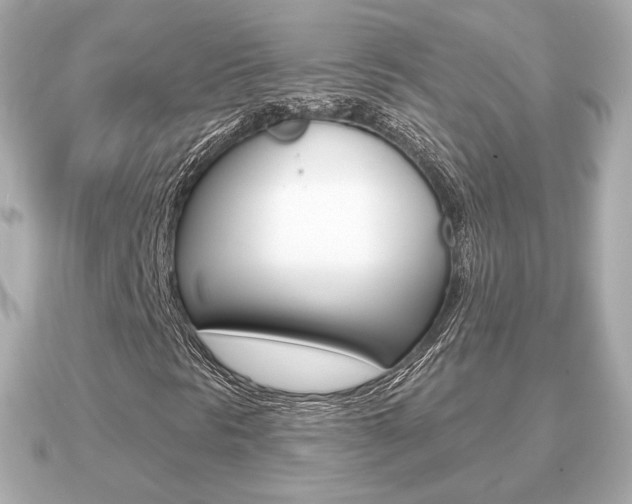 X0000091231297200708091106