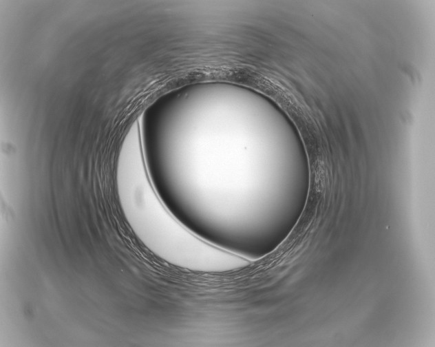 X0000091231298200708091106