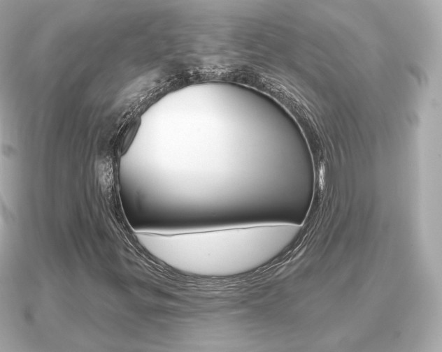 X0000091231299200708091106