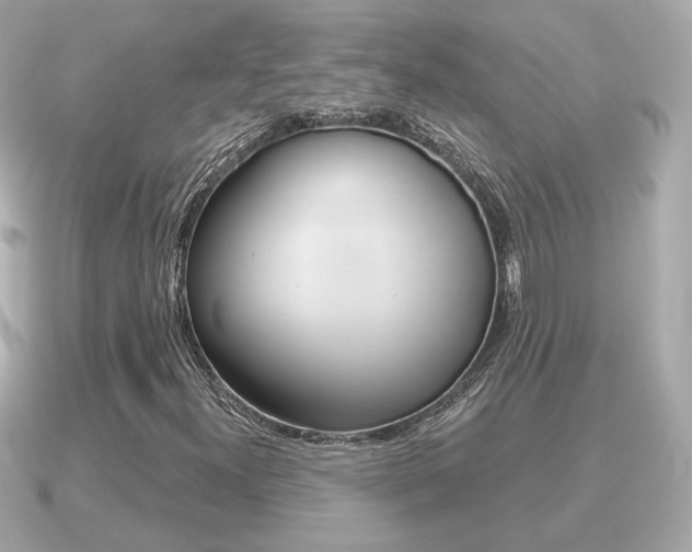 X0000091231300200708091106