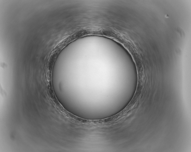 X0000091231301200708091106