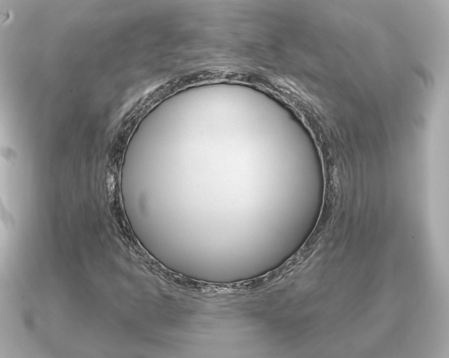 X0000091231302200708091106