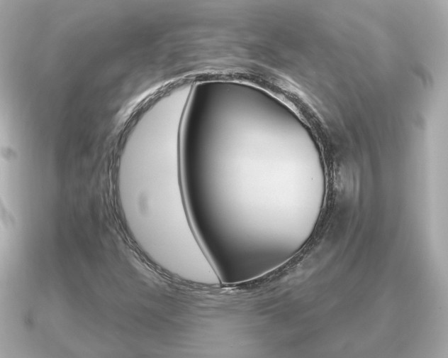 X0000091231304200708091106