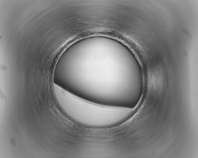 X0000091231305200708091106